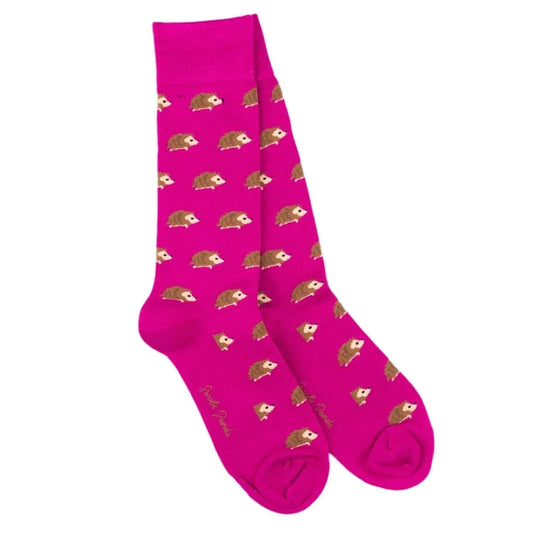 Broddgöltur - 40-45