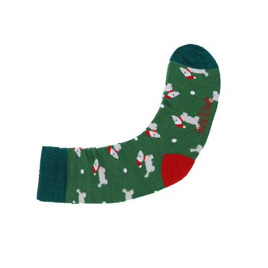 Grænn jólahundur 36-40