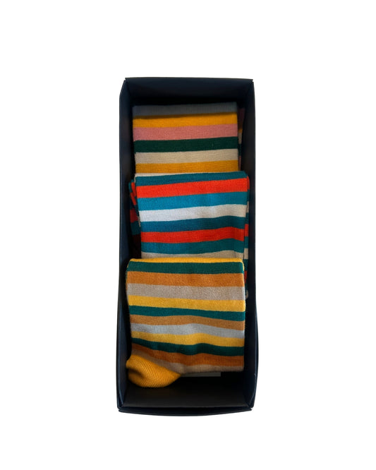 Gjafakassi - rendur 41-45