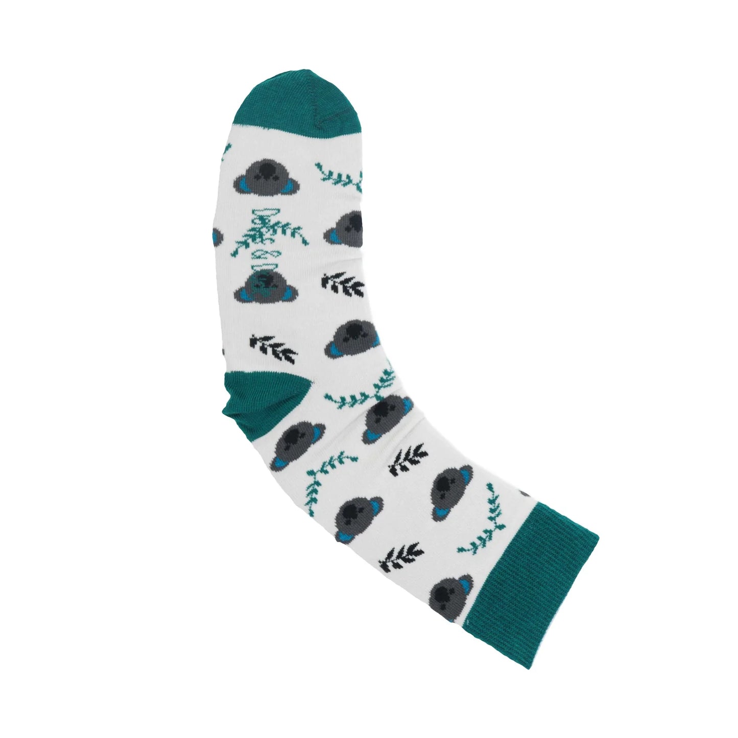 Kremaður koala 41-45